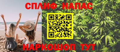 гашик Чапаевск