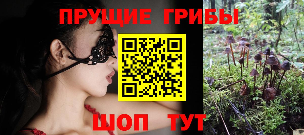 Псилоцибиновые грибы мухоморы Воркута